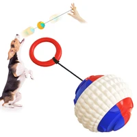 popular best selling products teeth toys balls toy for cats and dogs cheerble wicked ballinteractive training game chew puppy