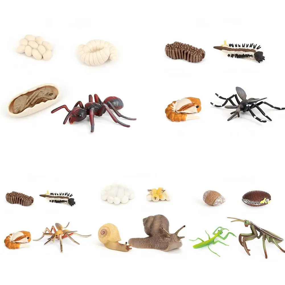 

Simulation Animals Life Cycle Animal Figurines Snail Ant Mosquito Growth Cycle Model Figures Toy Play Set Kids Educational Model