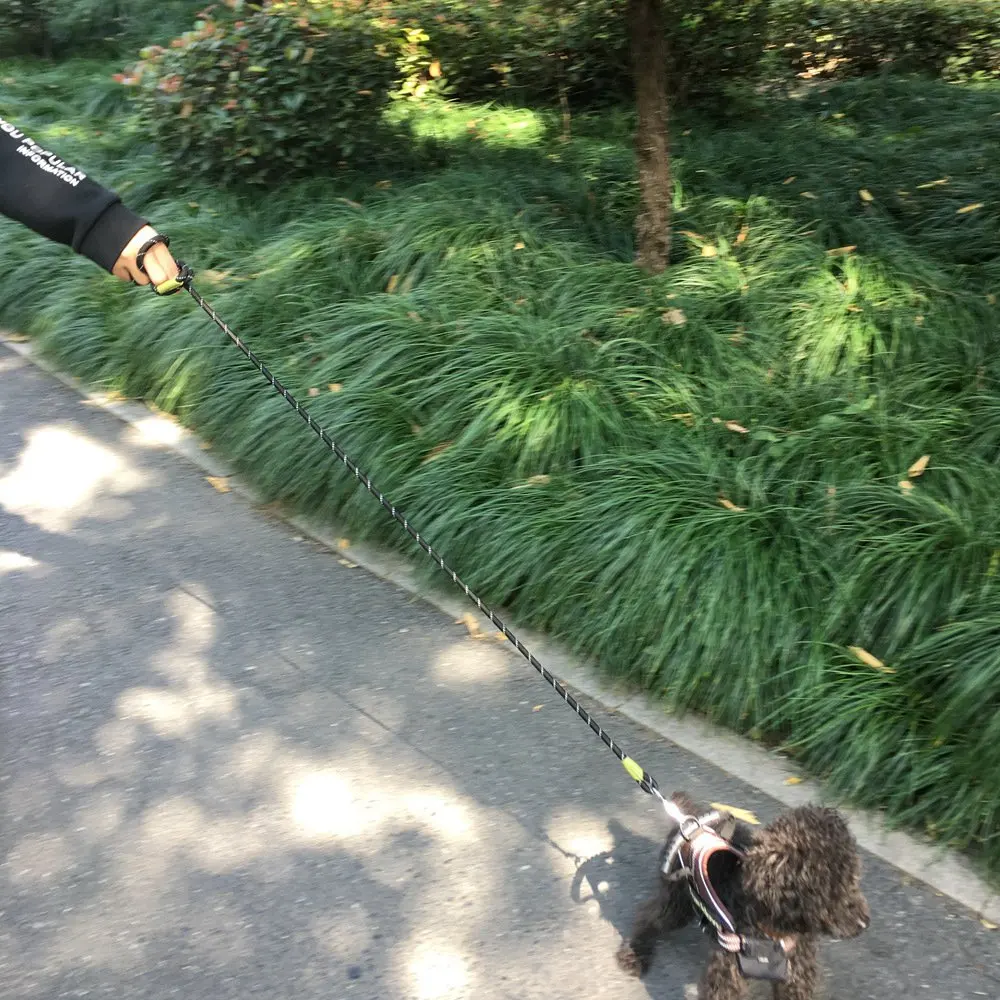 Pet товары собаки поводок для маленьких большой поводки Светоотражающие веревку