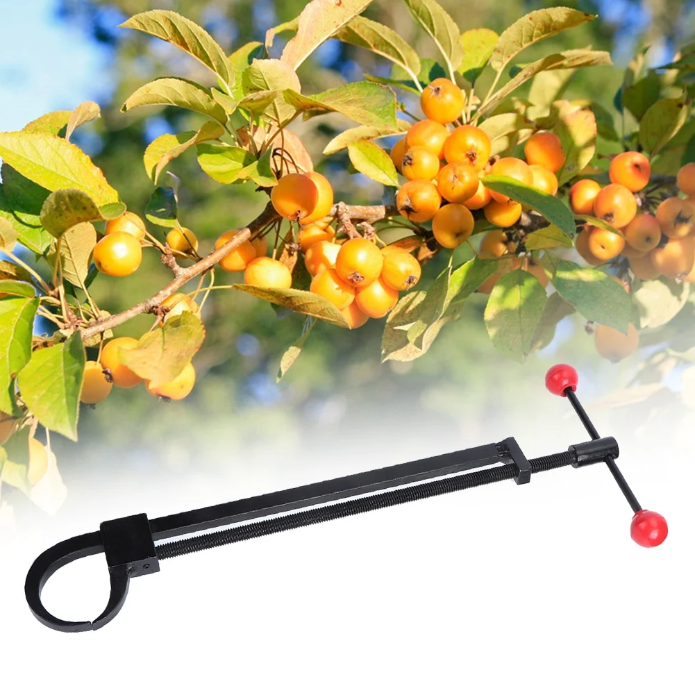 

Garden Bonsai Tree Branch Bender Forged Steel Tree Modulator Trunk Adjuster Garden DIY Tool Practical Garden Tool