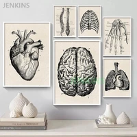 artwork medical wall picture muscle skeleton canvas print painting for hospital clinic decor vintage human anatomy poster