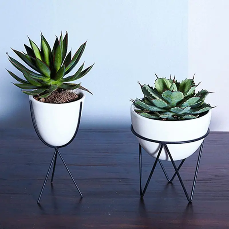 Мясистые растения для цветов горшок железный гидропонного искусства настольный