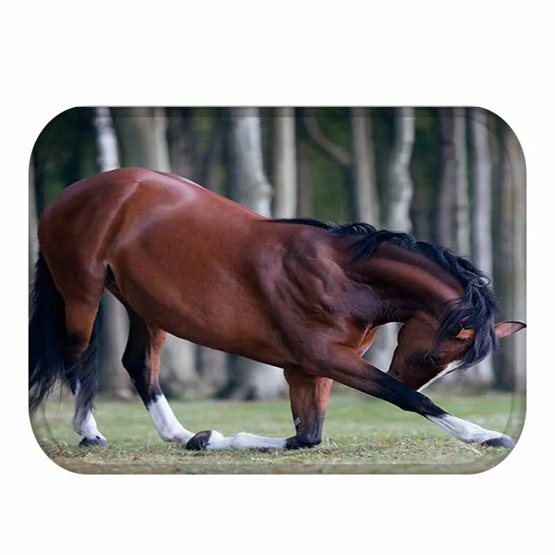 3D коврик для пола лошади фланелевый Впитывающий Коврик ванной кухни входа в