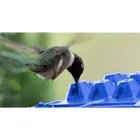 Лучшая кормушка для птиц, колибри, рандомное место для отдыха и встроенная косточка