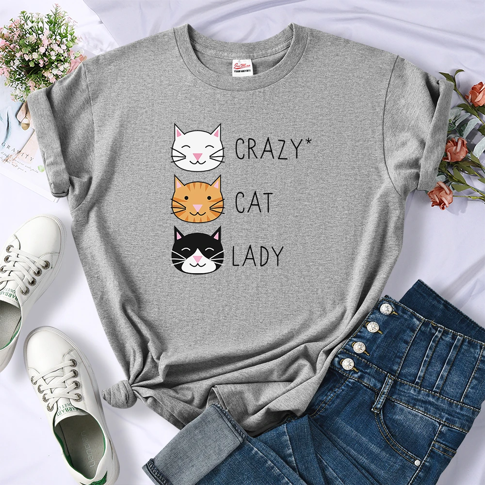 Loose Casual Crazy Cat Lady Cute Hip Hop T Shirts Women Fashion Sweat Clothing Summer Tops New Crewneck Womens T-Shirts | Женская одежда