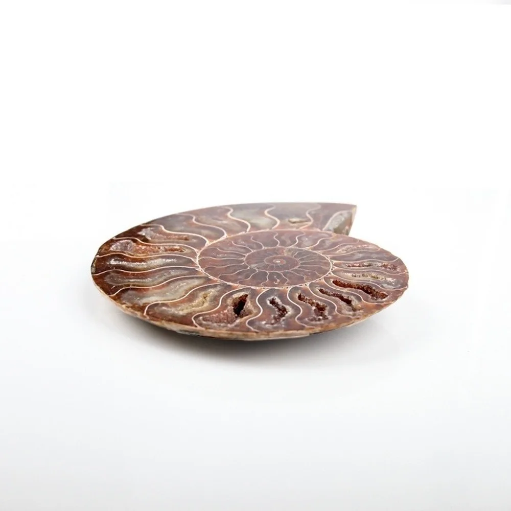 300 г натуральный сеченый аммонит образцы ископаемого раковины Хрустальный декор