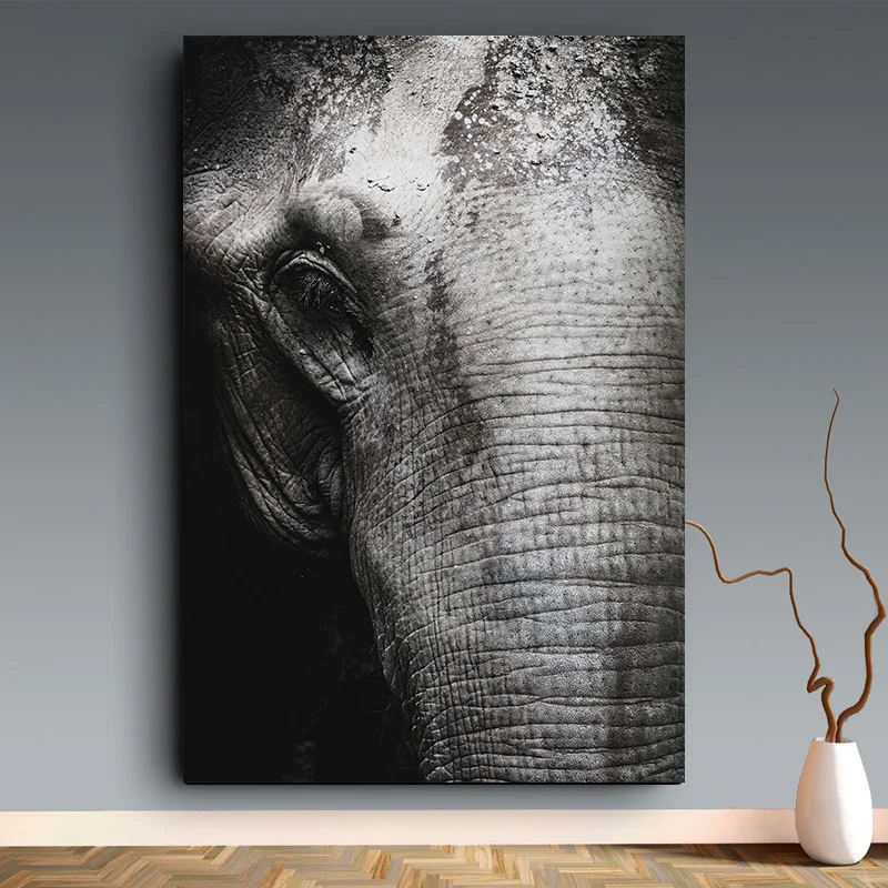 Miaodu 5D Алмазная мозаика с изображением животных слонов сделай сам вышивка