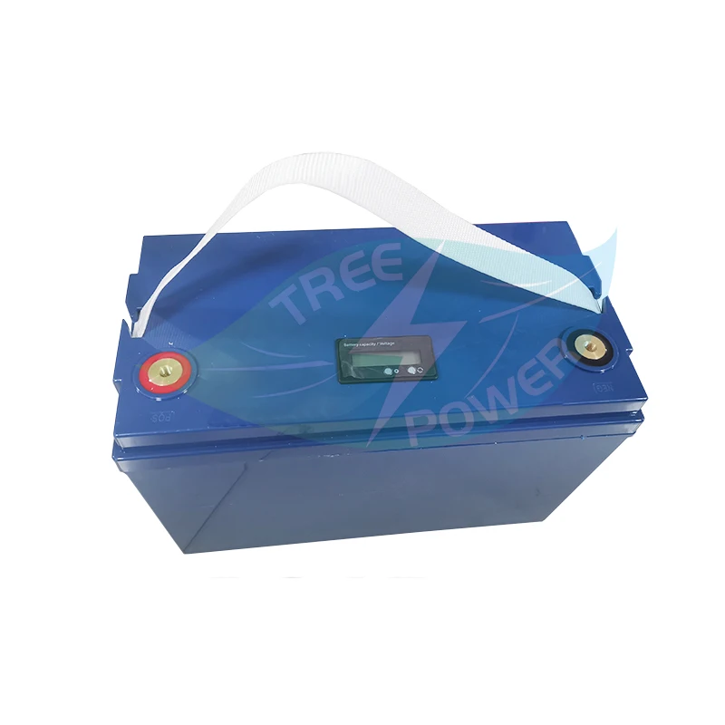 24V 100AH 50Ah 80Ah 120Ah литий-ионный аккумулятор с BMS 7S для грузоподъемник тележки гольфа