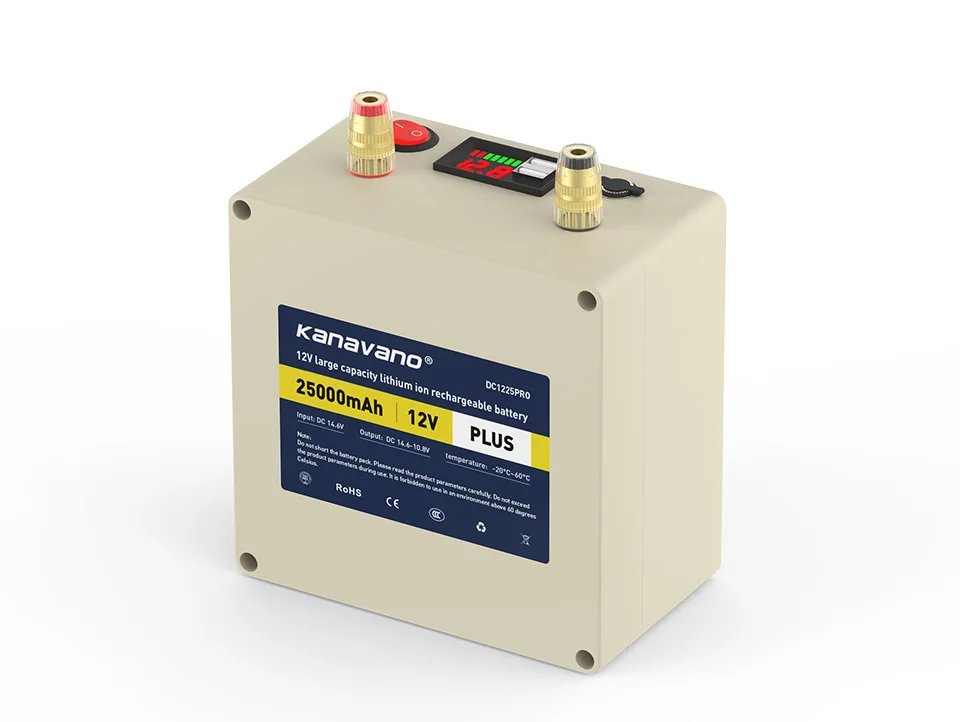 12V 25AH LifePO4 аккумулятор с BMS для 12,8 V 25000mAh резервный внешний аккумулятор солнечная панель энергии Портативный с 4A зарядным устройством