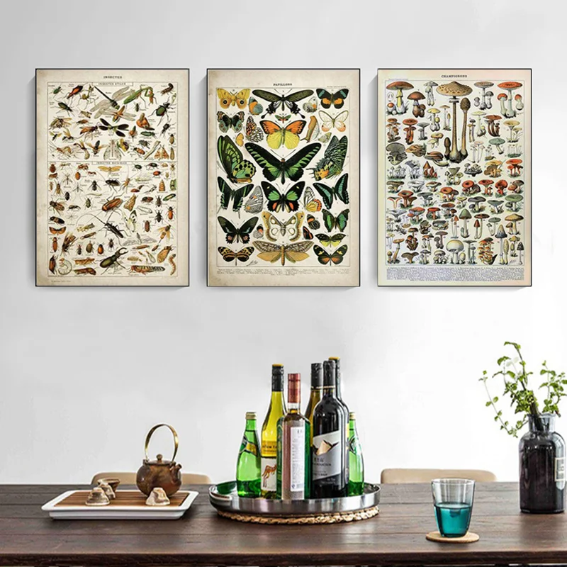 Винтажный Адольф миллот Бабочка цветы насекомое энциклопедия холст живопись