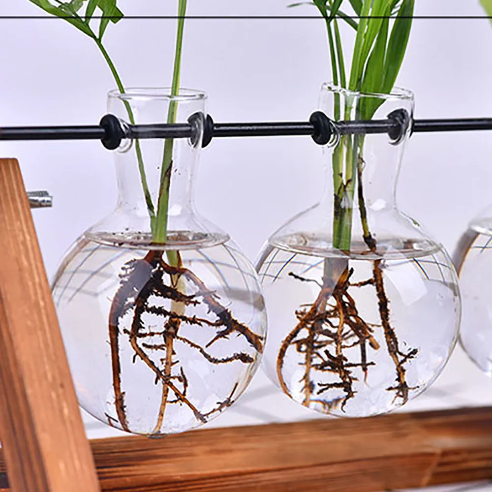 Гидропонные вазы для растений стеклянная ваза плантатор Террариум стол