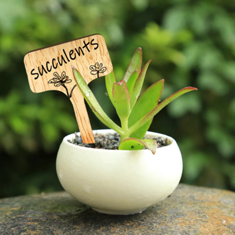 50/100 шт. DIY бамбук ярлыки для растений с деревянные искусственные бриллианты