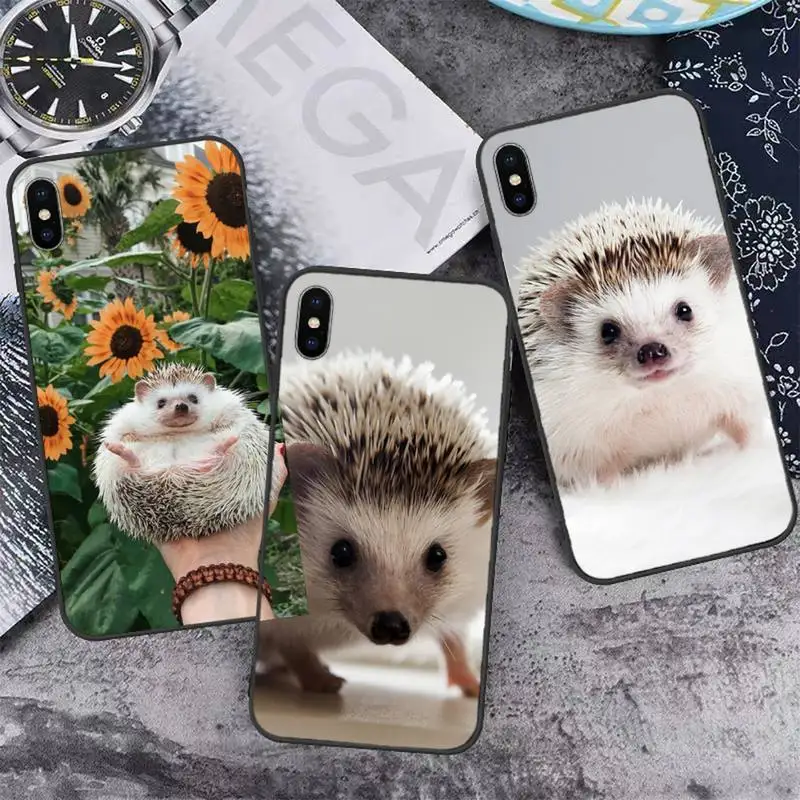 

Cute little hedgehog Phone Case for iPhone 11 12 13 pro XS MAX 8 7 6 6S Plus X 5S SE 2020 XR mini