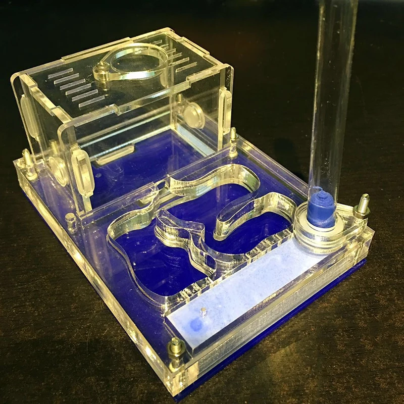 Акриловое гнездо для альпинизма виллы муравьев площадка активного отдыха с