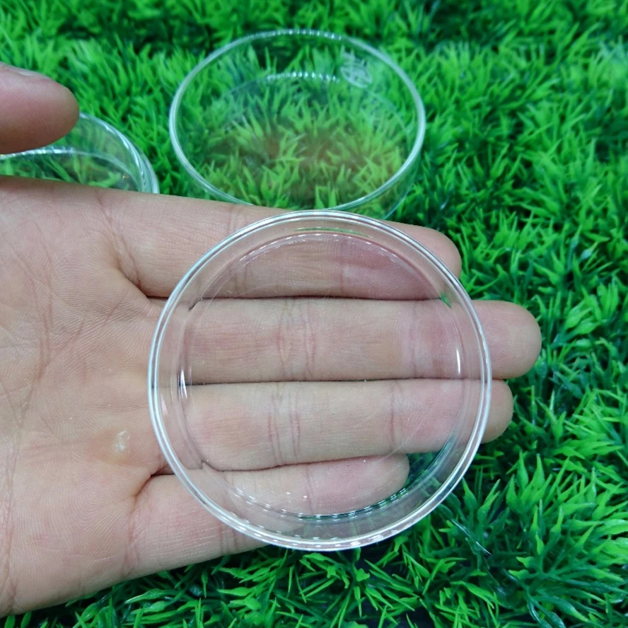 Новая стеклянная миска для кормления креветок контейнер раковины диаметр 6 см 7