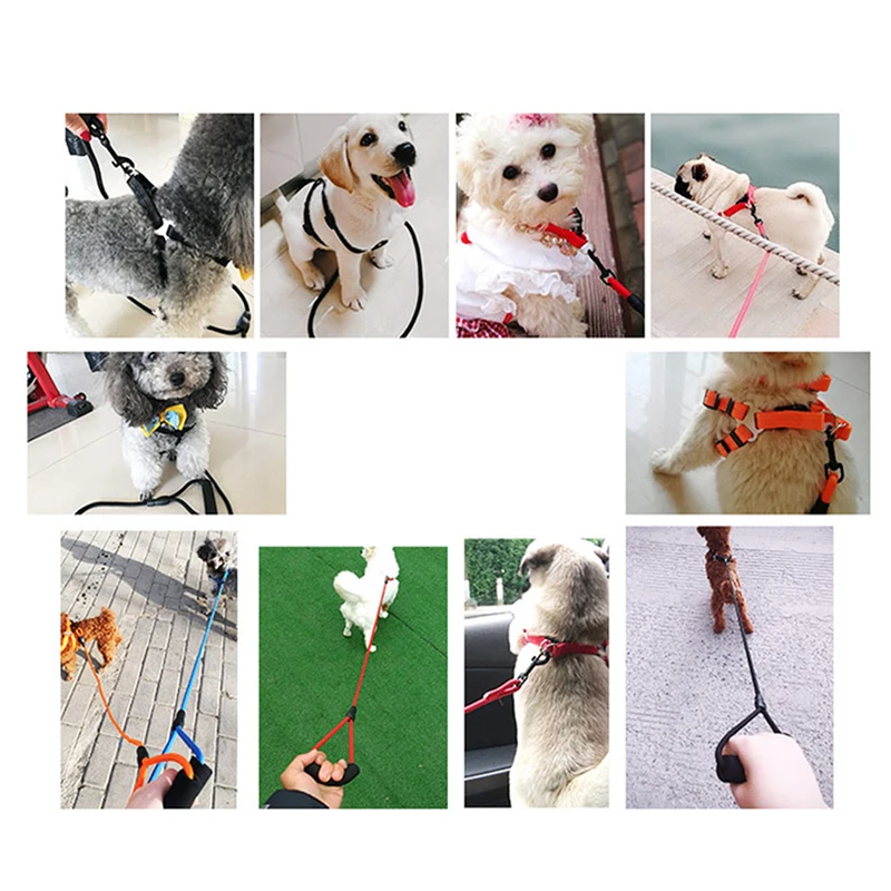 New Pet Dog Collars Traction Rope Supplies Chain Collar Chest Strap Harness Vest Adjustable Buckle Leash | Дом и сад