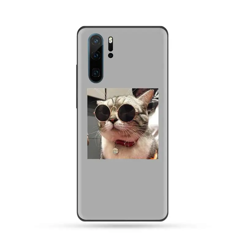 

Cute cat puppy pet Phone Case For Huawei Mate 9 10 20 Pro lite 20x nova 3e P10 plus P20 Pro Honor10 lite