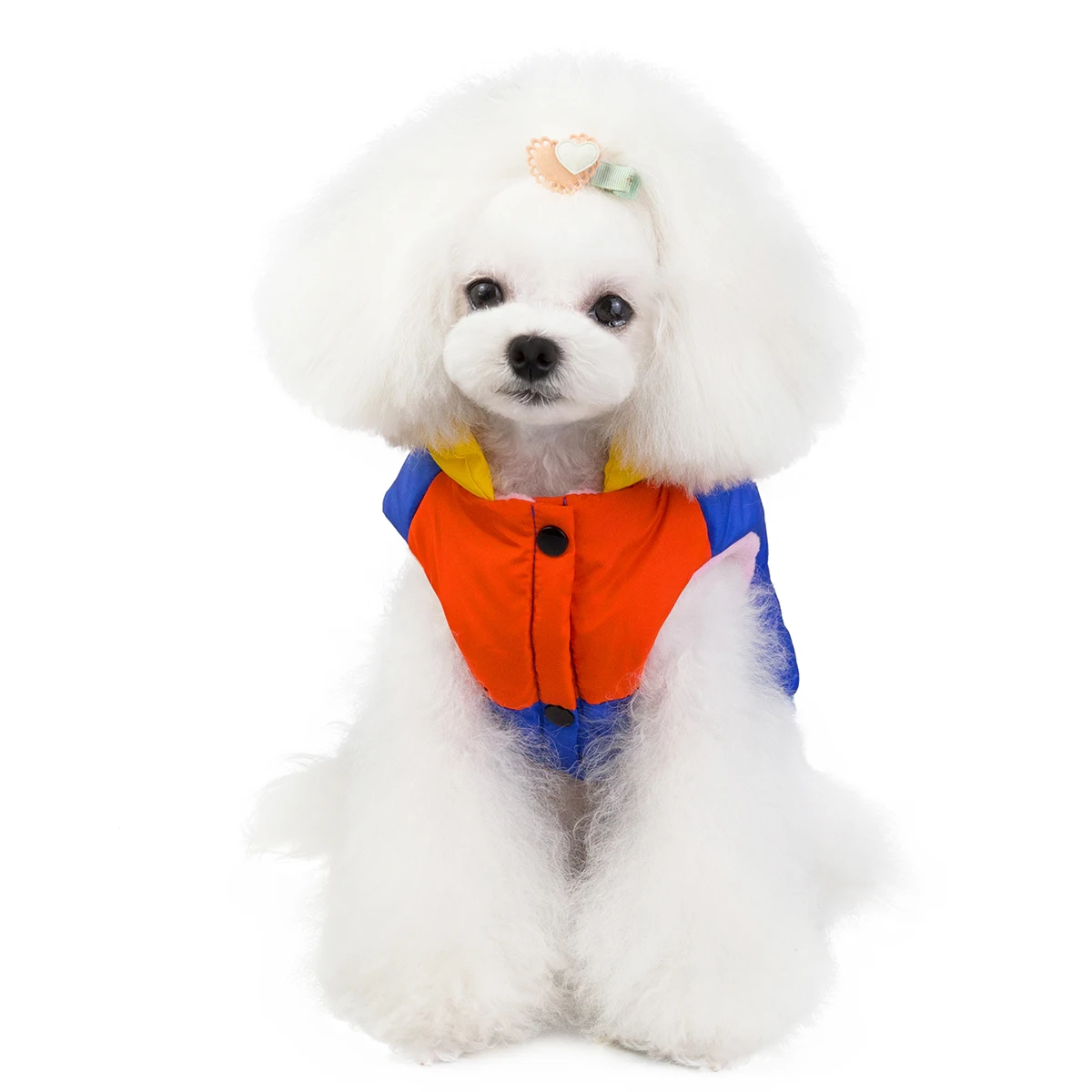 Waterproof Dog Clothes for Large Dogs Winter Warm Big Dog Jackets Padded Polyester Pet Coat Safety Reflective Dog Clothing
