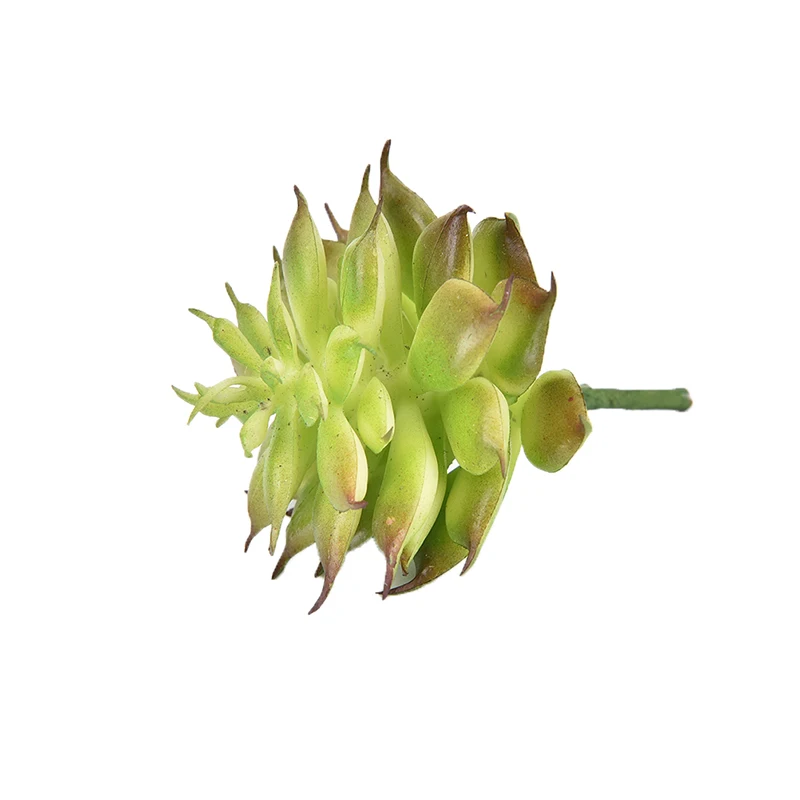 

Land Lotus Rare Plants Succulent Grass Artificial Plant Landscape Fake Flower Arrangement Garden Decor Home Decoration