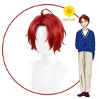 Аниме чудо яйцо приоритет Sawaki момое Косплэй парик красного цвета с короткими волосами реквизит термостойкие волокна волос + парик Кепки вечерние ролевая игра