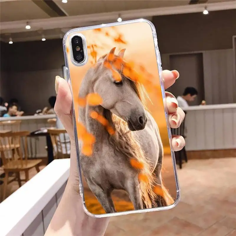 

Frederik The Great beauty horse Phone Case Transparent soft For iphone 5 5s 5c se 6 6s 7 8 11 12 plus mini x xs xr pro max