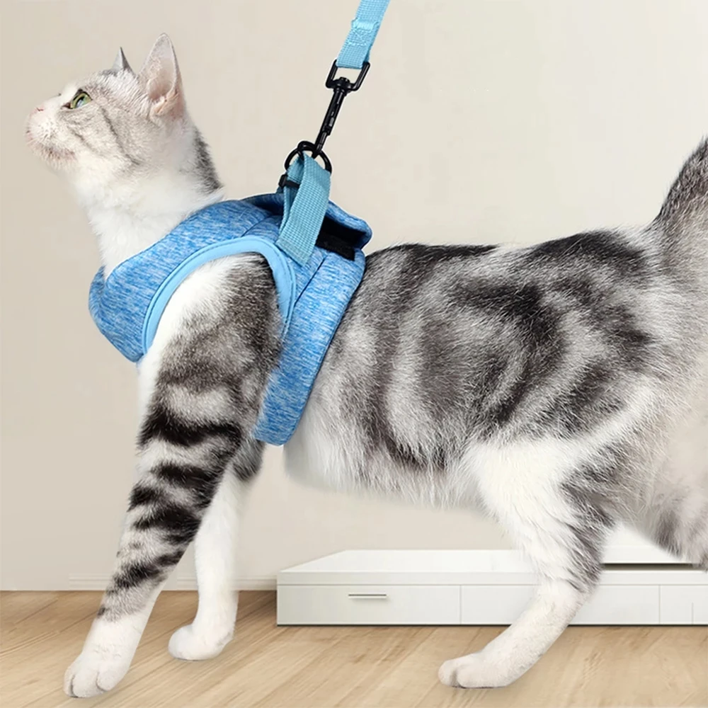 

Комплект шлейки для кошек, регулируемый жилет-поводок для домашних животных, для кошек и собак, Воздухопроницаемый наружный нагрудный реме...