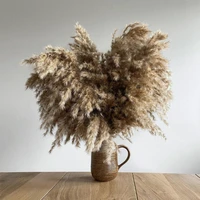 10 stems extra fluffy raw color dried pampas grass bouquet wedding decor flower bunch natural plant home decor large pampas