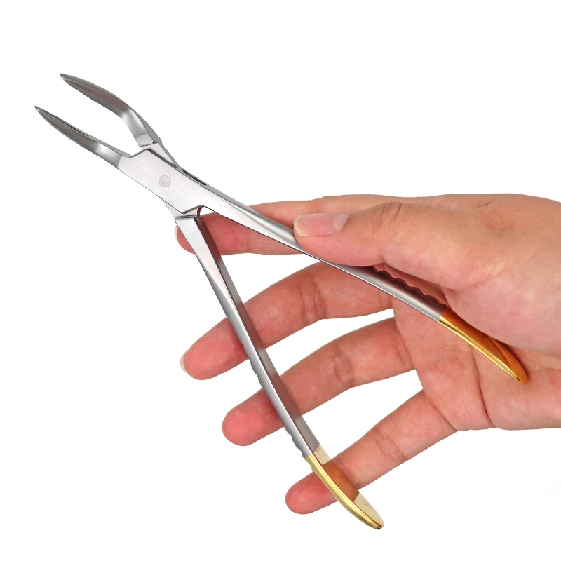 Dental Forcep Root Fragment Minimally Invasive Extraction Tooth Pliers Instrument Curved Maxillary Mandibular Teeth