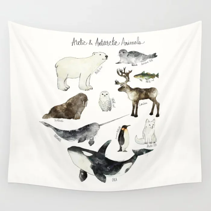 

Arctic Antarctic Animals Tapestry White Wall Hanging Tapestries Dorm Wall Art Home Decor Traveling Camping Beach Towel Yoga Mat
