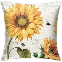 square decorative throw pillow case cushion cover 18 x 18 inch