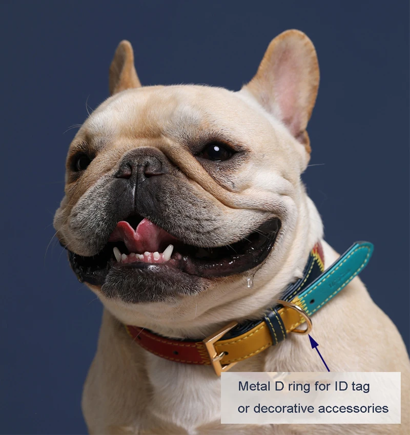 Ошейник для собак UFBemo кожаное ожерелье идентификационная бирка товары домашних