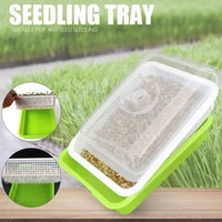 seed sprouter tray bpa free pp soil free big capacity healthy wheatgrass grower with cover seedling tray sprout plate hydroponic