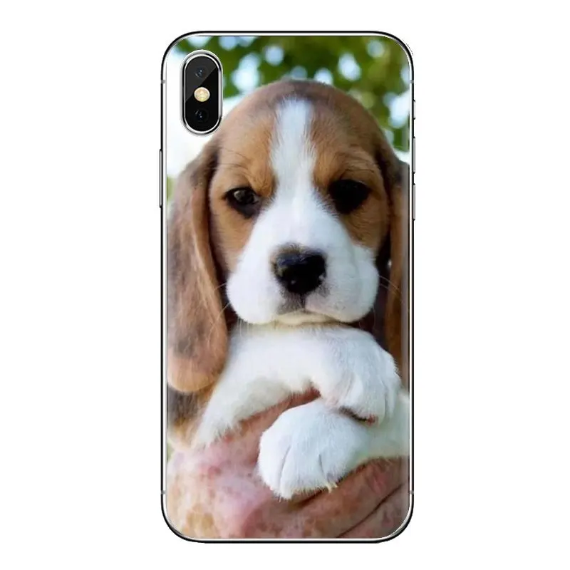 Собака породы Бигль Щенок прозрачный мягкий чехол Чехлы для Samsung Galaxy J1 J2 J3 J4 J5 J6 J7 J8