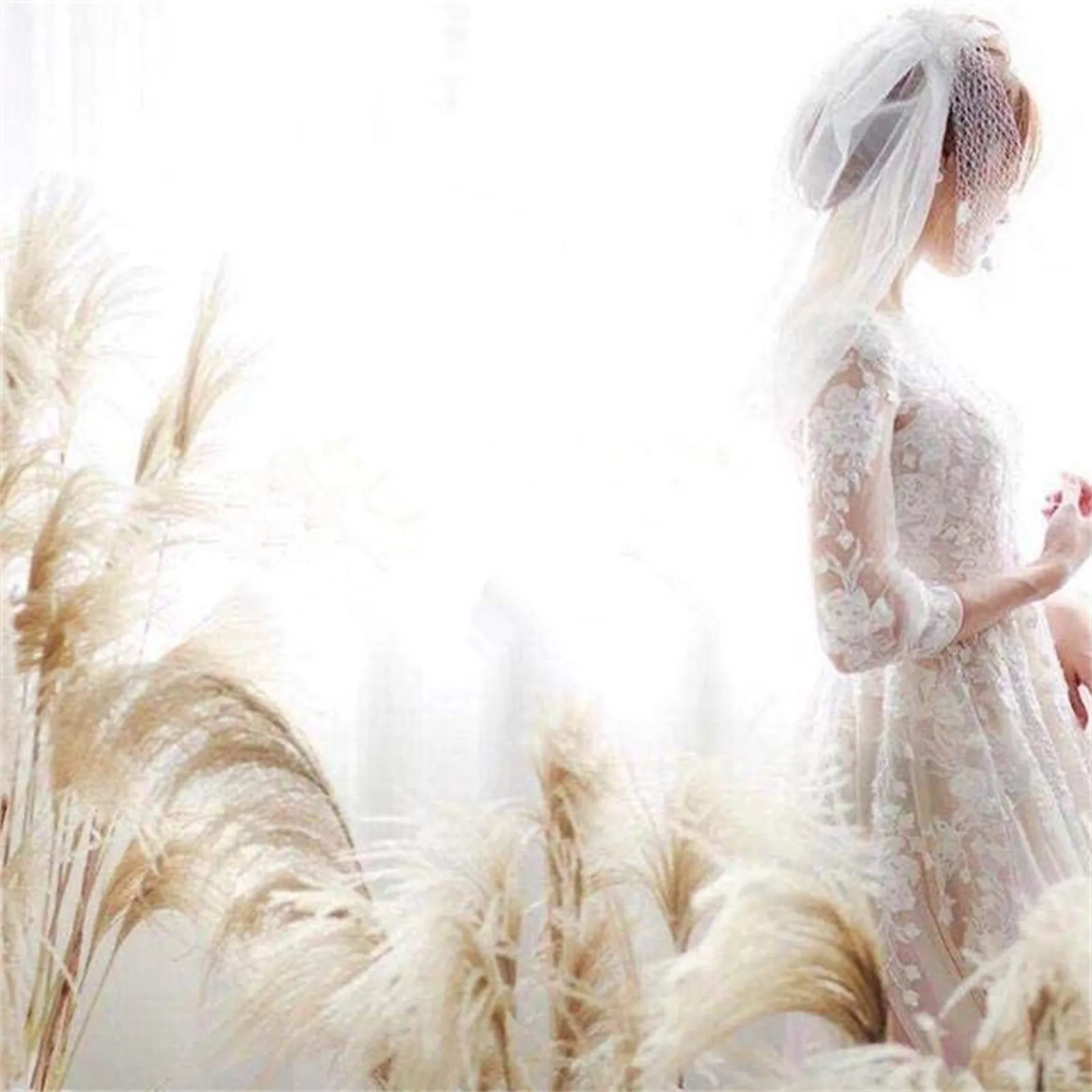 Пампасная трава 60 см Натуральные сушеные цветы искусственные декоративные | Дом