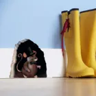 Реалистичная 3d фотообои уникальная Наружная и внутренняя творческая миниатюрная маленькая животная художественная мышь в отверстии Настенная Наклейка