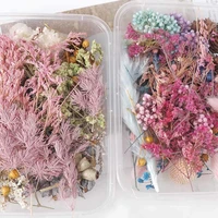 1 box colorful real dried flower plant for aromatherapy candle epoxy resin pendant necklace jewelry making diy craft accessories