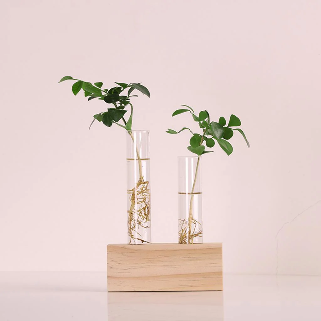Hot Sale Crystal Glass Test Tube Vase Flowers Plants Hydroponic Planter+ Wooden Stand Decorated With A Flower Home Decor images - 6