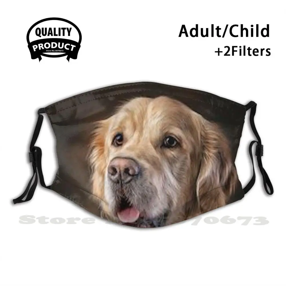 

Лабрадор ретривер, скрытень, щенки английского Лабрадора, лабораторные очистители шоколада, маска для лица Landseer моющийся фильтр летняя Горячая Распродажа