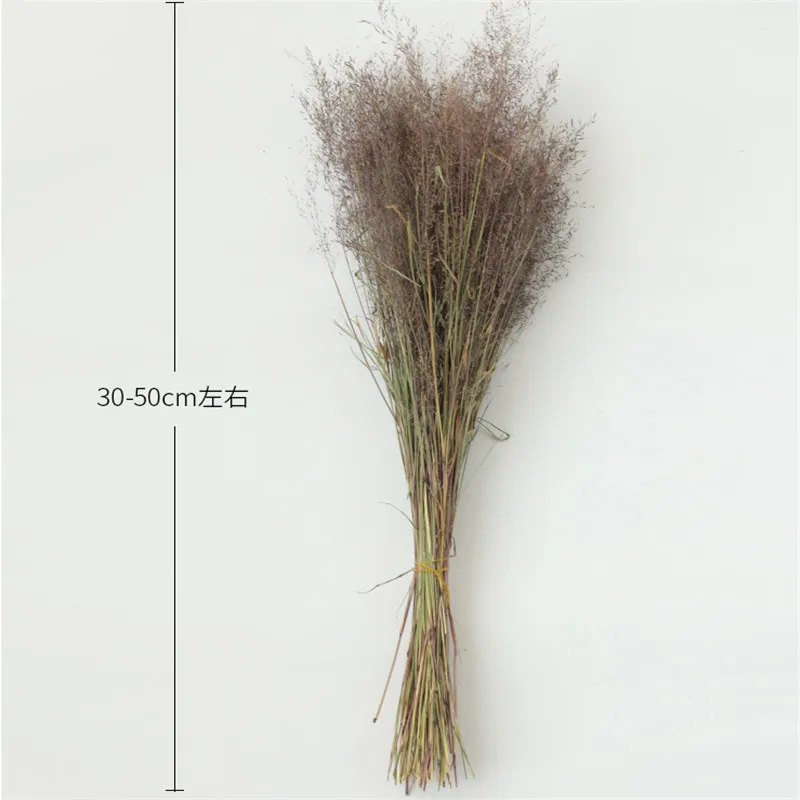 

50pcs Dried muhly grass bouquet pure natural flower bouquets muhly grass bunch for home wedding decor