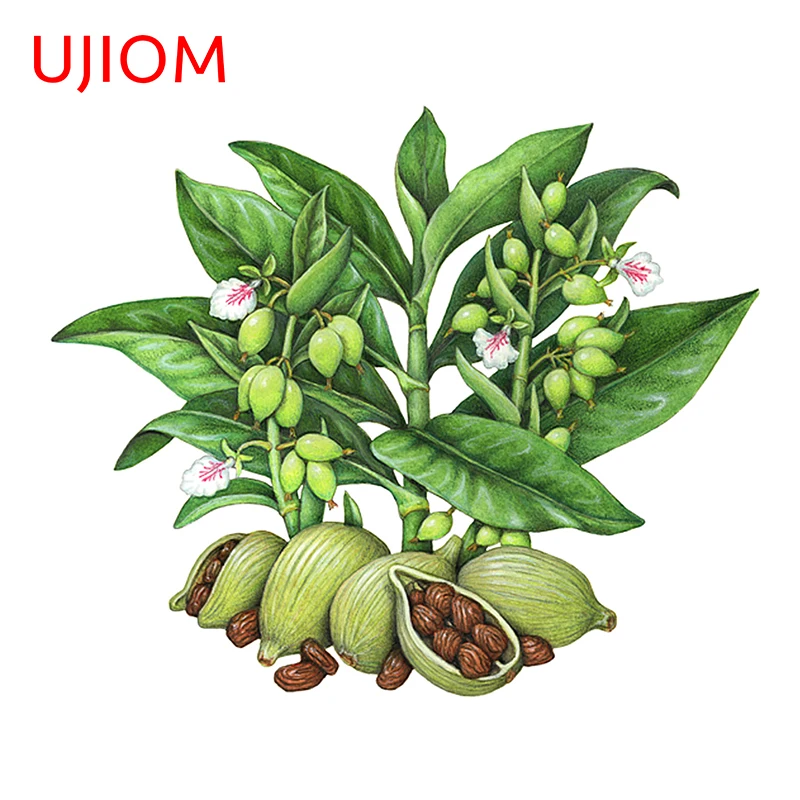 Ботаническая иллюстрация UJIOM, настенные наклейки, украшение для дома, переключатель, панель, наклейки для комнаты, Декор, роспись, искусство