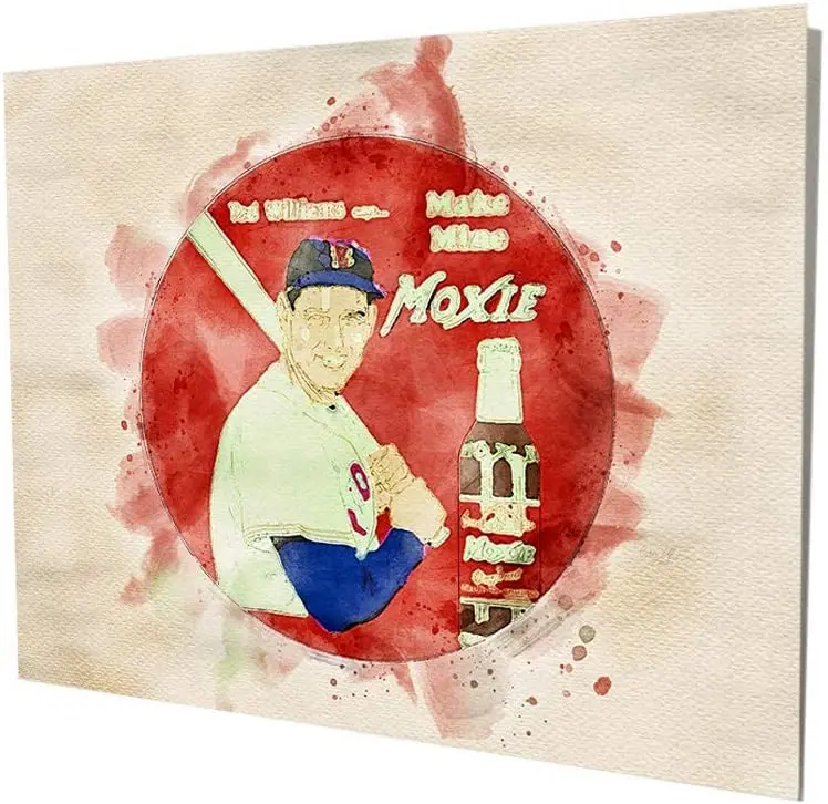 

Brotherhood Moxie Soda Cola Ted Williams Classic Baseball Water Color Design Vintage Style Metal Signs Metal Tin Al