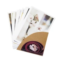4packslot business cards students gift diy vintage cat postcards group sweet cats greeting card set
