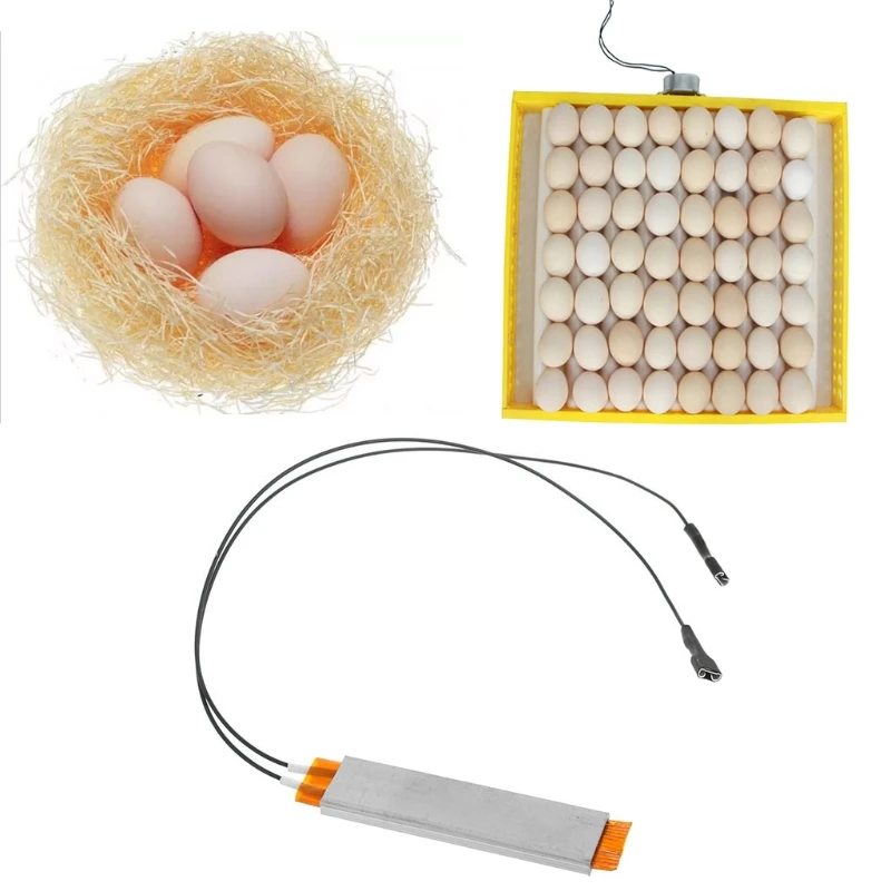 Heating Incubator Heater Element Plate For Egg Accessories 110V 10166 | Бытовая техника