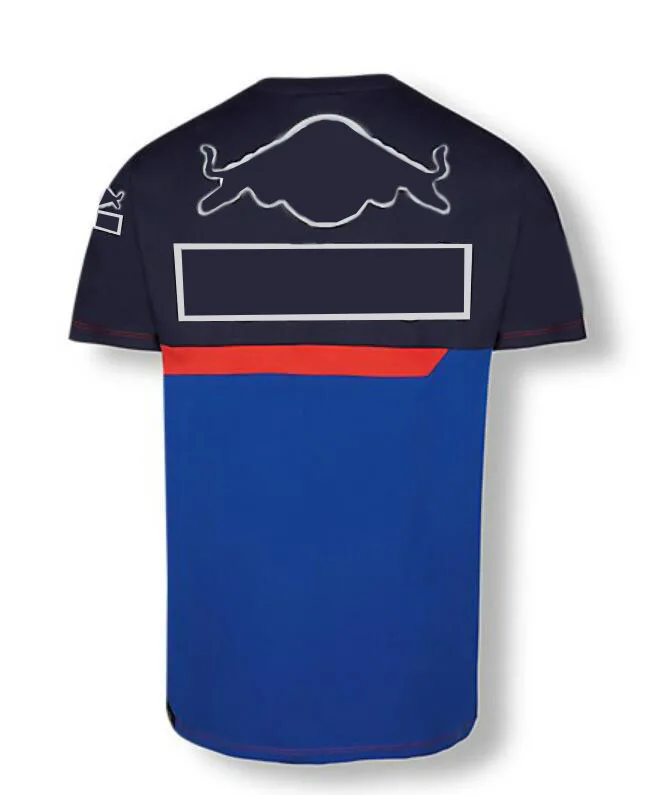 

F1 team polo shirt, f1 racing short sleeve, lapel T-shirt, the same style is customized