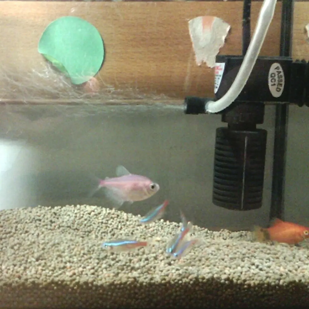 как правильно ставить фильтр в аквариум. внешний фильтр aquael для аквариума на 200 литров. как правильно ставить фильтр в аквариум. Submersible filter для аквариума. Rj-721 аквариумный фильтр.