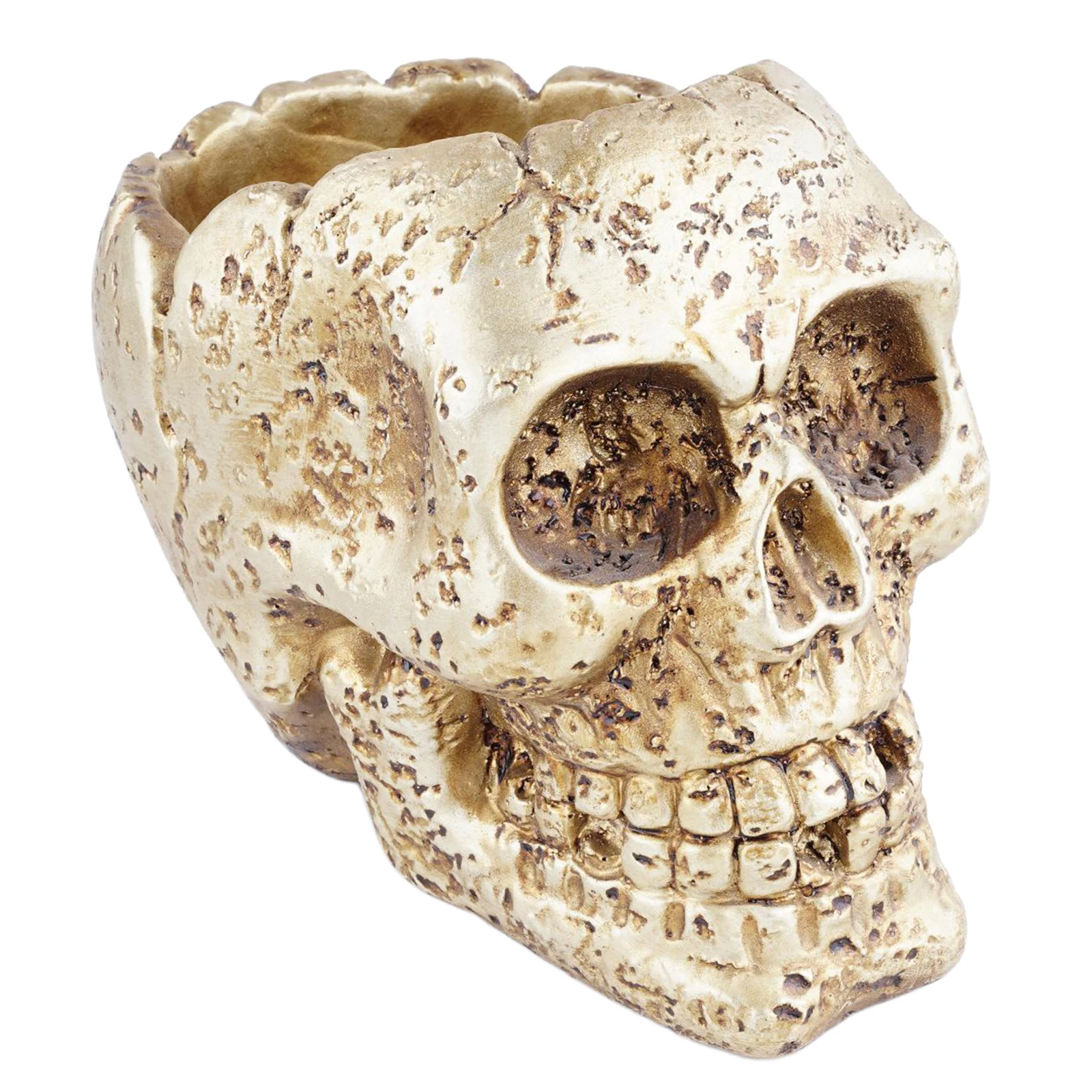 Смола в виде черепа из тонкого и сочные ящик для комнатных растений кактус-горшок