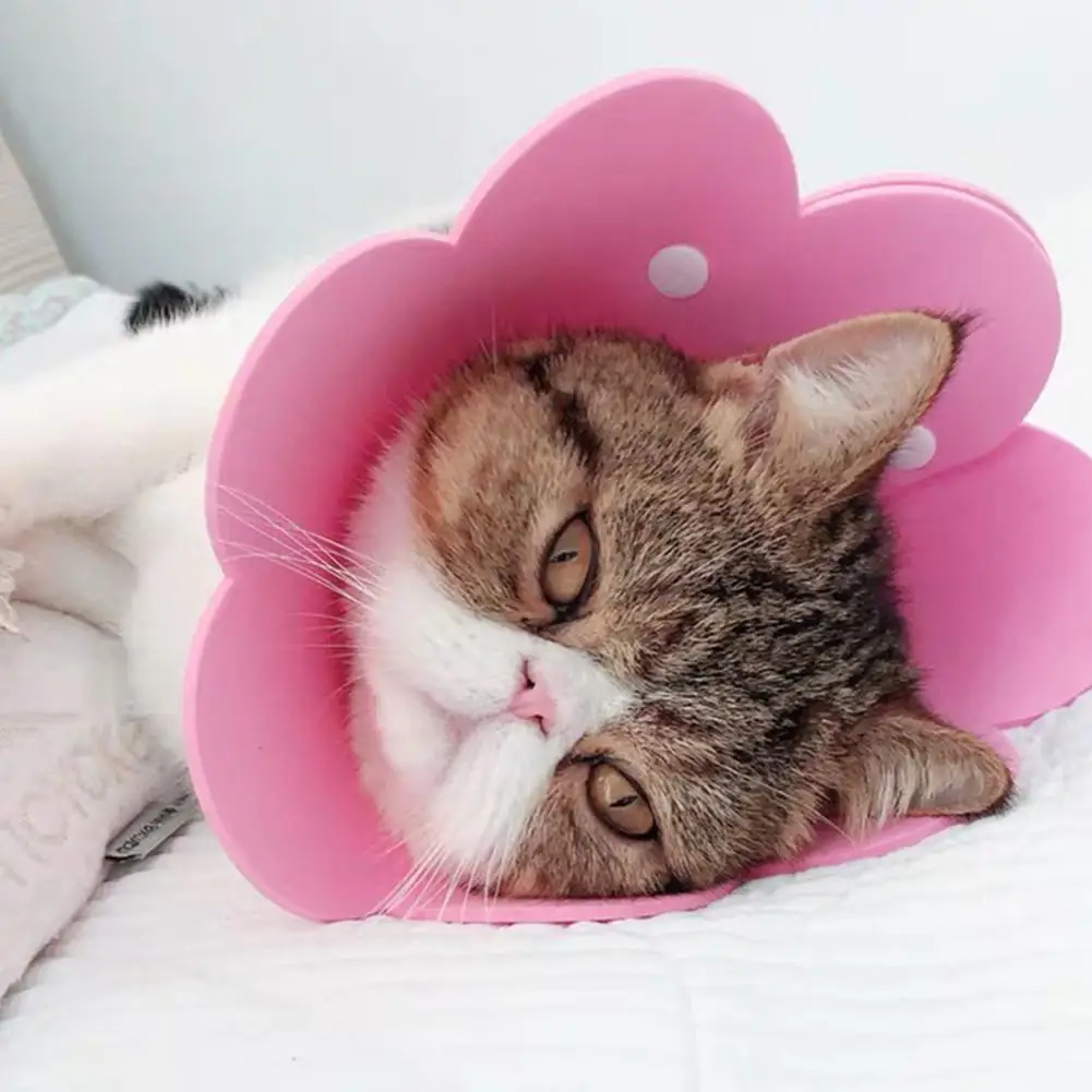 

Elizabethan Top Dog Cat Collar Cone Pet Health Medical Collar Wound Healing L Cone M Bite S Anti K2E2