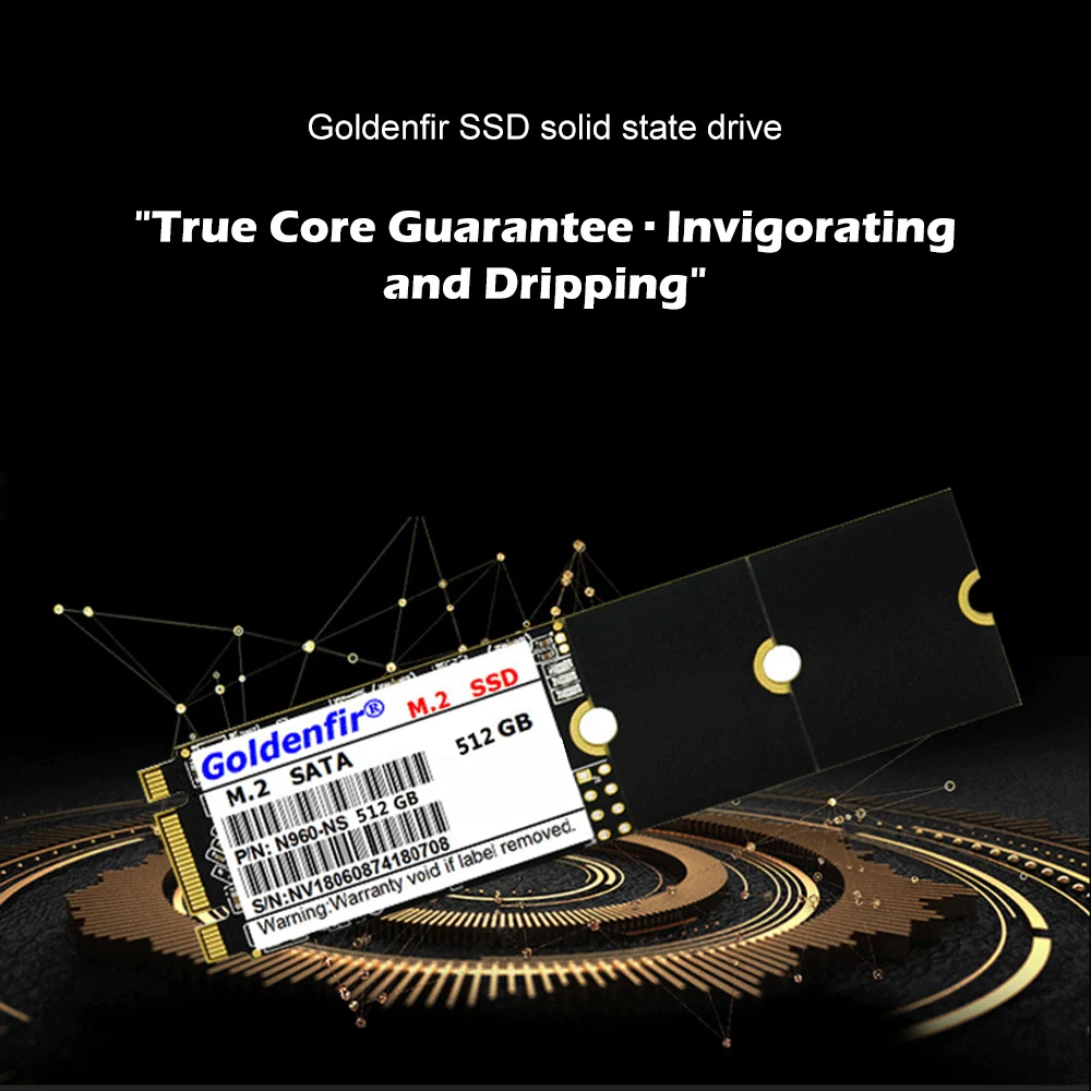 

Goldenfir M.2 NGFF SSD 128GB/256GB/512GB SATA III 2280 Solid State Drive 6Gb/s High Speed Internal SSD for Laptop Computer