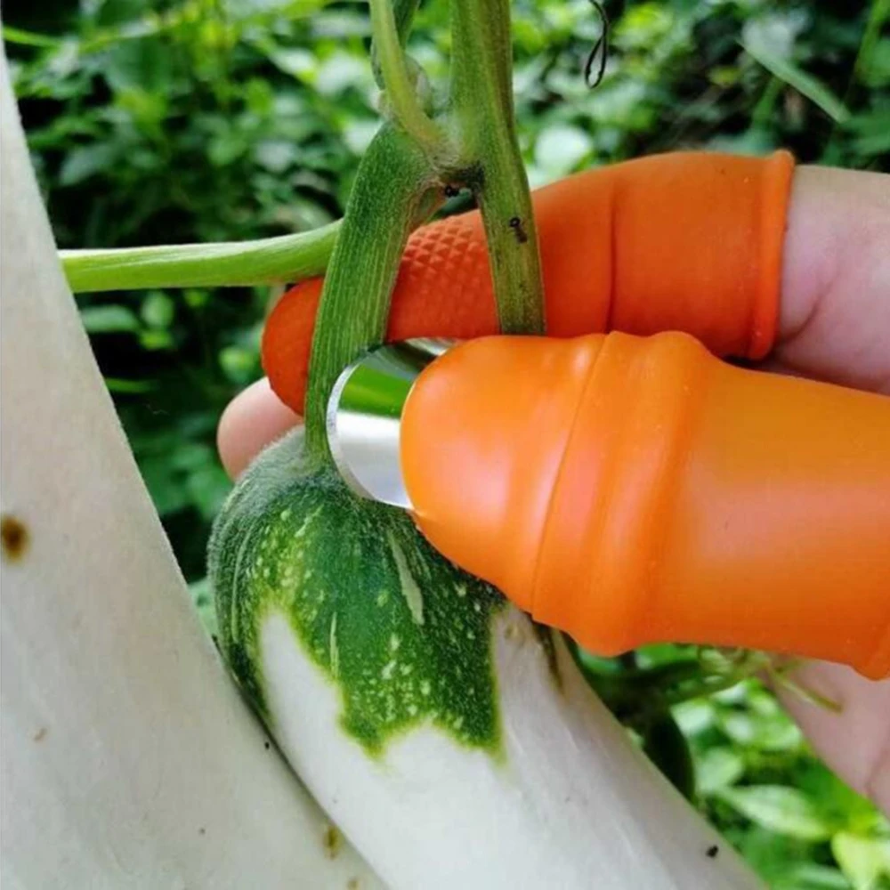 

Farm Vegetable Fruit Picker Pickle Pepper Pickle Nail Pick Grape Picker for Garden Orchard and Vegetable Patch Finger cot
