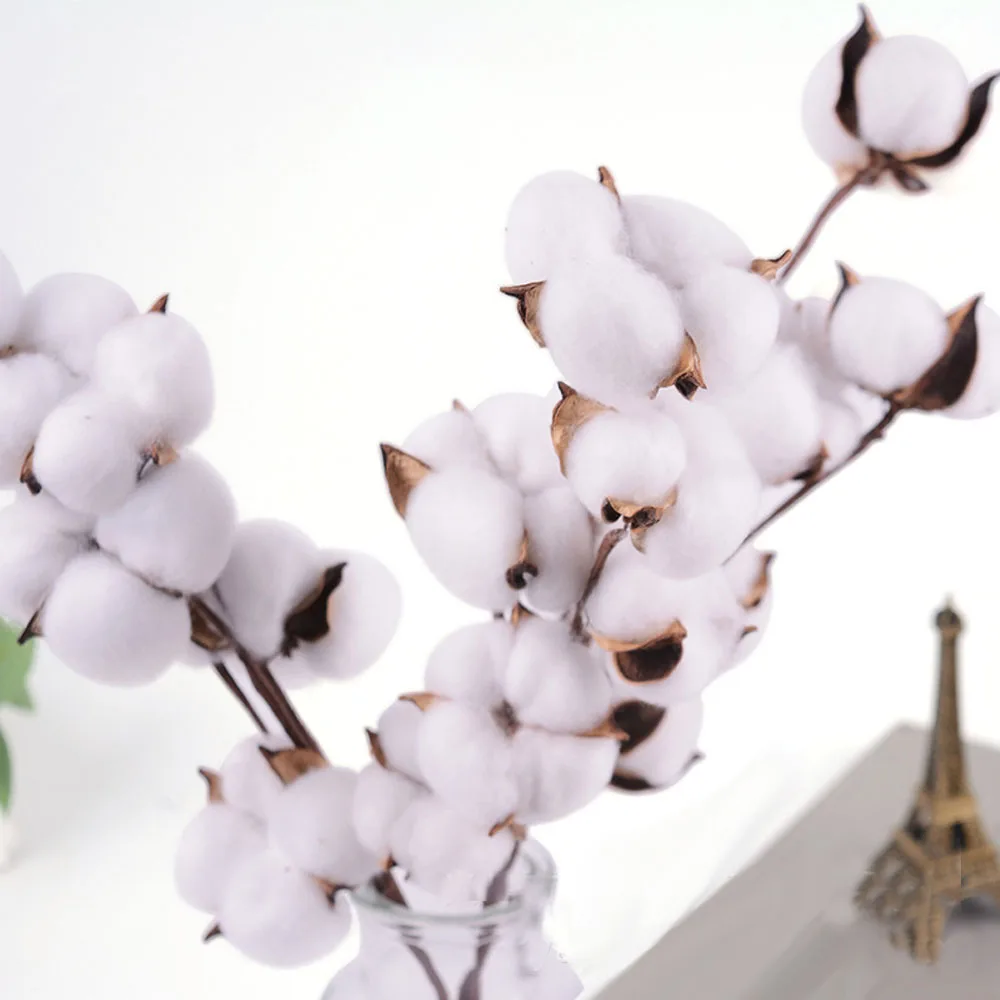 

Naturally Dried Cotton Stems Natural Artificial Flower Decorative Wedding Home Party Living Room Long Branch Filler Floral Decor